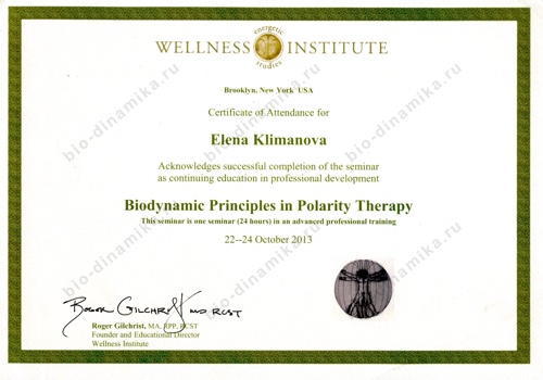 Елена Климанова Wellness Institute Brooklyn, New York USA Certificate